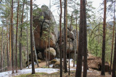 Büyük kaya oluşumlu çam ormanı ve yerde kar kalıntıları. Doğal manzara manzarası doğa fotoğrafçılığı ve açık hava keşfi için mükemmel..