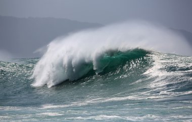 Güzel dalga - Hawaii