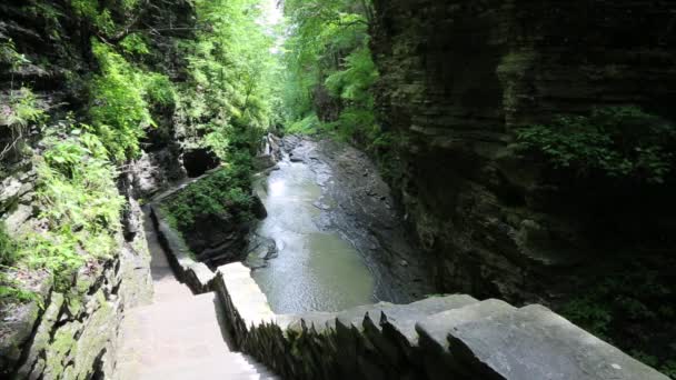 Sentier à Watkins Glen 