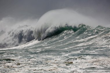 Güçlü dalga - Hawaii