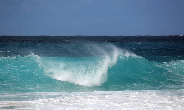 Modrá vlna - Hawaii — Stock fotografie