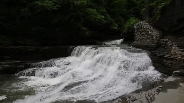 Waterfalls in R.H.Treman SP — Stock Video