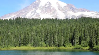 Yansıma göl kenarında orman