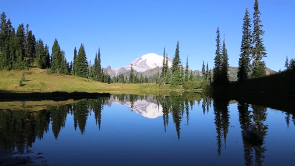 Reflektion av Mount Rainier — Stockvideo