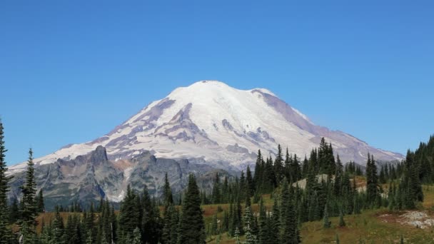 Rainier Dağı - Washington — Stok video