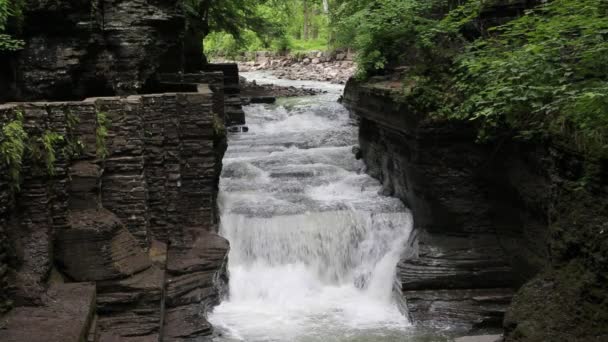 Cascadas en Enfield Glen — Vídeo de stock