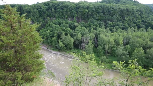 Genesee řeka, Letchworth Sp — Stock video