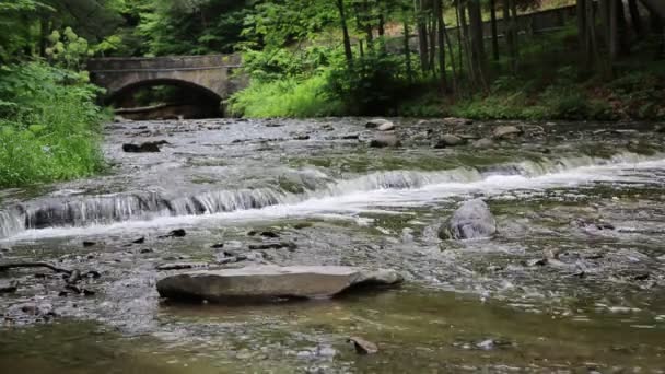 Wolf Creek - Letchworth Sp — Video Stock