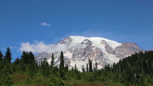 Gunung Rainier Washington — Stok Video
