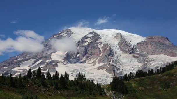 Mount Rainier - Waszyngton — Wideo stockowe