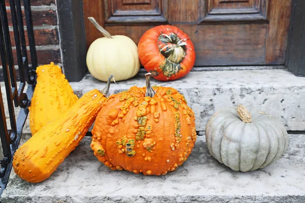 Halloween decoration on stairs — Stock fotografie