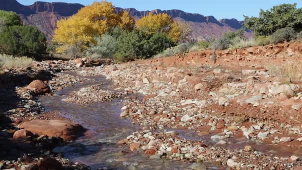 Creek in Castle Valley — Stock Video