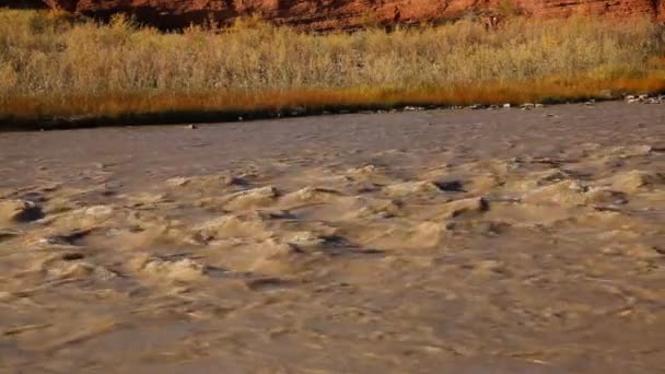 Flusso del fiume Colorado — Video Stock