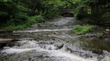 Cascades Wolf Creek