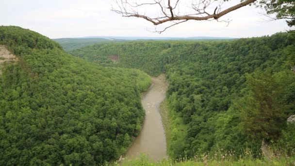 Genesee River - New York — Stockvideo