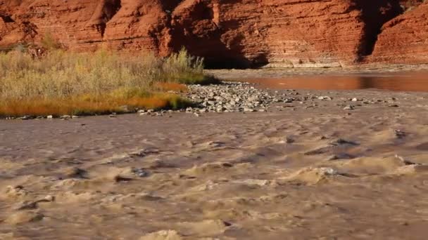 Isola sul fiume Colorado — Video Stock