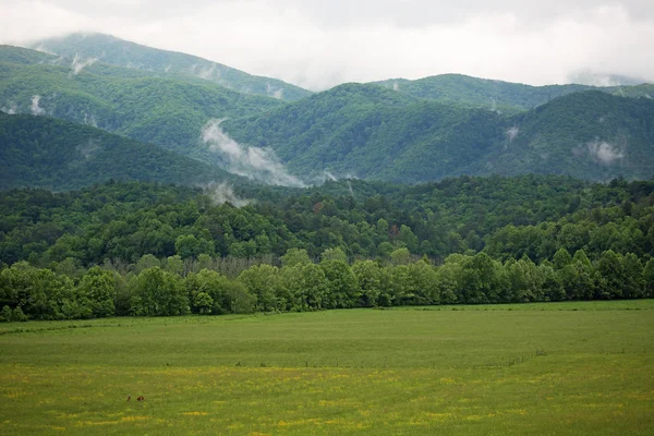 Montanhas fumegantes - Tennessee — Fotografia de Stock