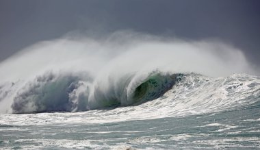 Boru dalga - Hawaii