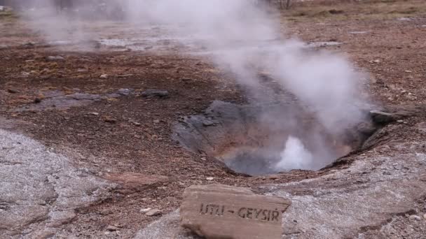 Geysir geysir - IJsland — Stockvideo