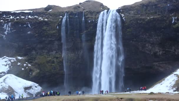 Seljalandfoss - vattenfall på Island, — Stockvideo