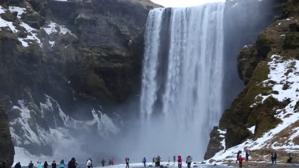 Skogafoss - Wasserfall in Island — Stockvideo