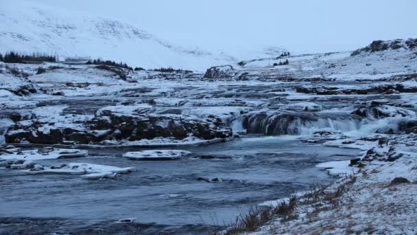 Rivier in de winter — Stockvideo