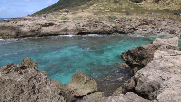 Turquoise bay in Kaena Point SP — Stock Video