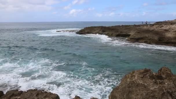 Costa vulcânica em Kaena Point SP — Vídeo de Stock