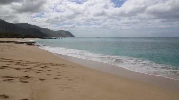 Yokohama Strand - Oahu — Stockvideo