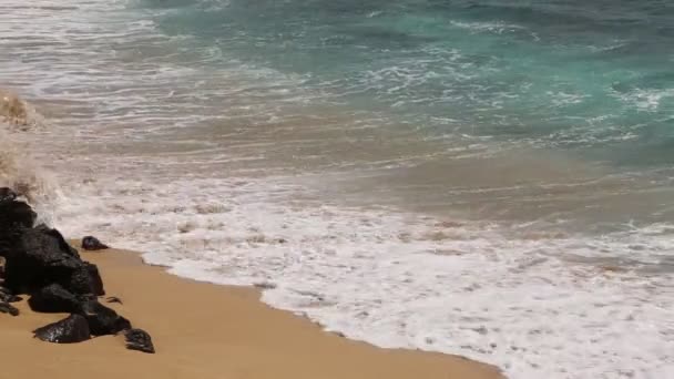 Güzel dalgalar - Hawaii — Stok video