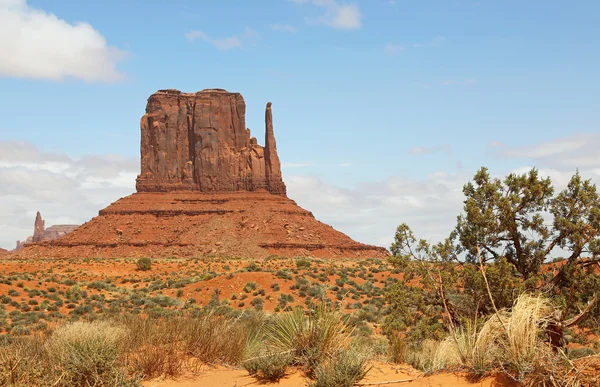 West Mitten Butte and bush Stock Image