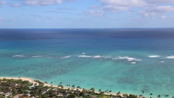 Blue Pacific i Kailua — Stockvideo