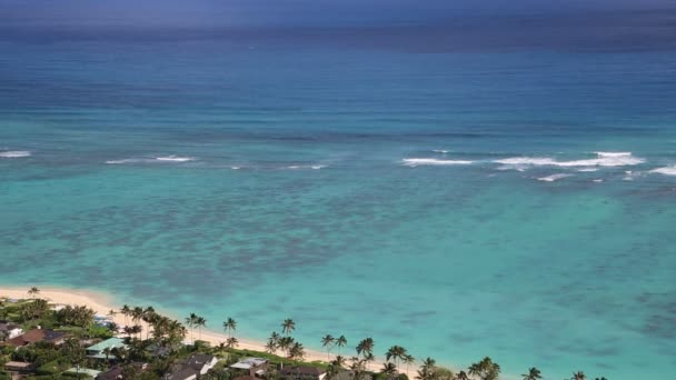 Océan bleu sur la plage de Lanikai — Video