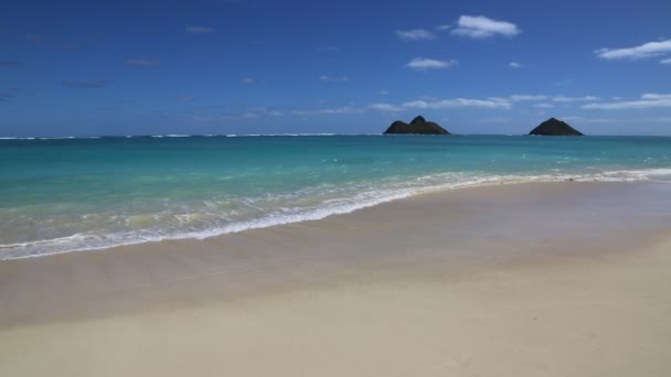 Strand von Lanikai - Oahu — Stockvideo