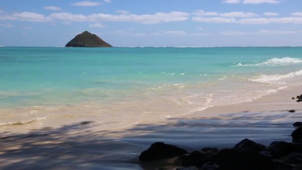 Costa orientale di Oahu — Video Stock