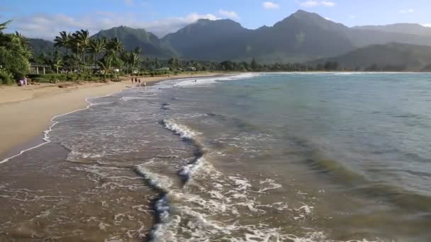 Baía de Hanalei - Kauai — Vídeo de Stock