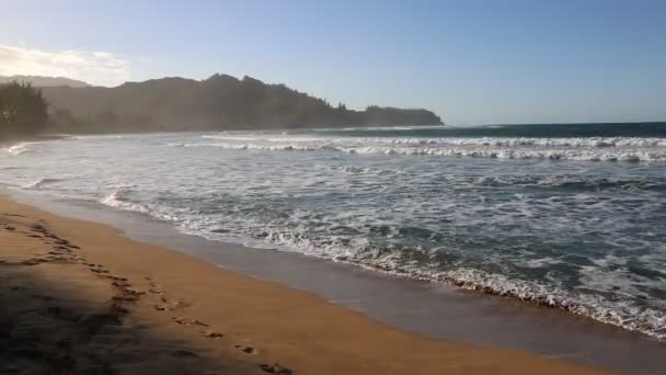 Strand op Hanalei Bay — Stockvideo