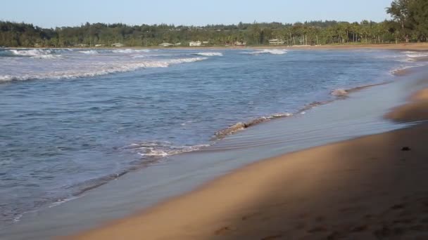 Cień na Hanalei Bay — Wideo stockowe
