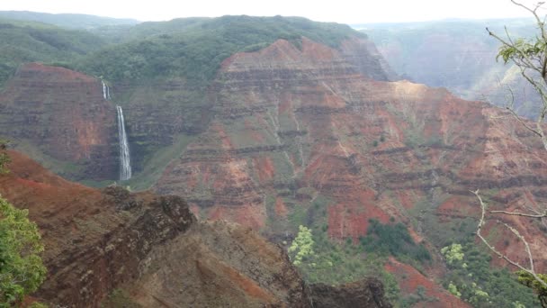 Air Terjun Waipoo - Kauai — Stok Video