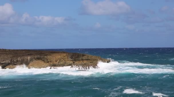 Κύματα σύνθλιψη στα βράχια της Laniloa — Αρχείο Βίντεο