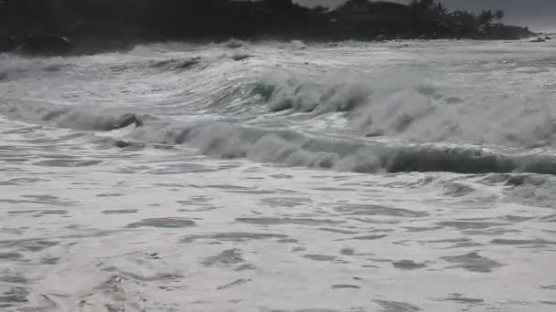 Baia di Waimea - Oahu — Video Stock