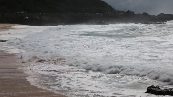 Powerful waves on Waimea Bay — Stock Video