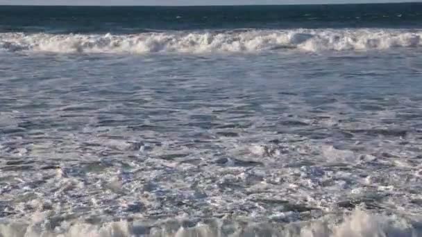 Onde Oceano Pacifico — Video Stock