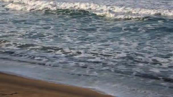 Fale na plaży — Wideo stockowe