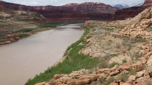 Río Colorado - Utah — Vídeos de Stock