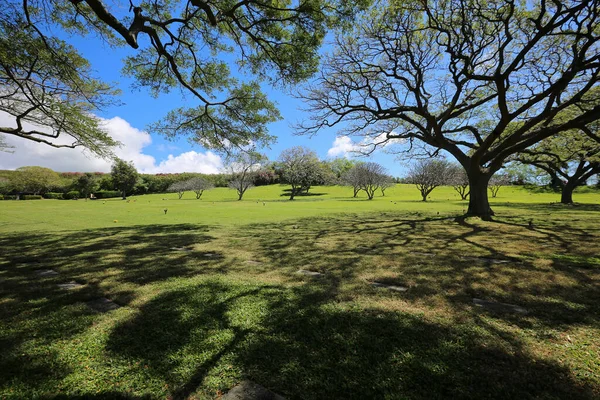 夏威夷瓦胡岛火奴鲁鲁Punchbowl公墓的树下 — 图库照片