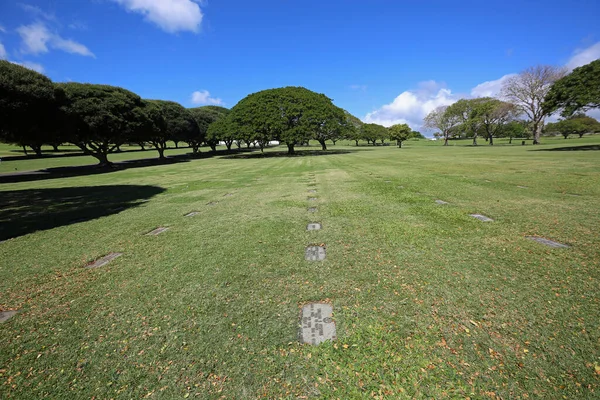 Grass Graves Honolulu Oahu Hawaii — Stock Photo, Image