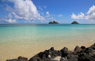 Lanikai sahilindeki volkanik kaya - Oahu, Hawaii