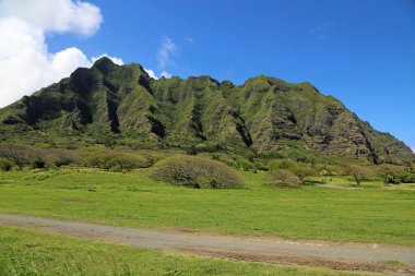 Kualoa Çiftliği 'ndeki toprak yol - Oahu, Hawaii