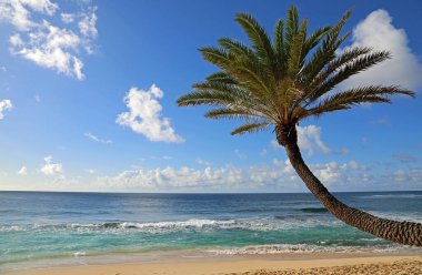 Sunset Beach, Oahu, Hawaii